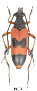 07 EAA_2142 PORT.JPG